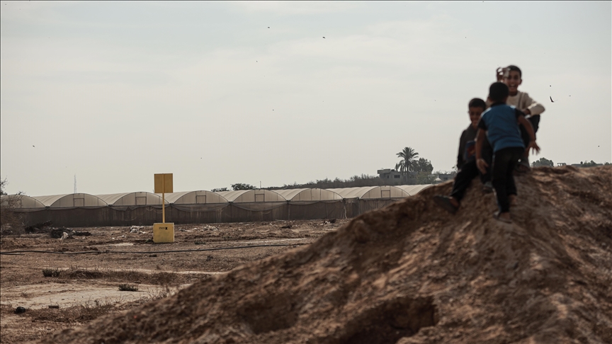 যুদ্ধবিরতির মধ্যে অন্তত ১৯৪ বার চুক্তি লঙ্ঘন করেছে ইসরায়েল